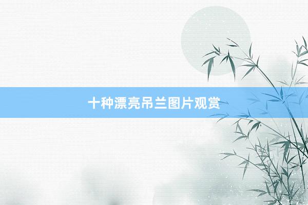 十种漂亮吊兰图片观赏