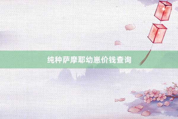 纯种萨摩耶幼崽价钱查询