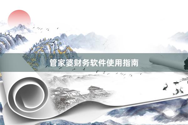 管家婆财务软件使用指南